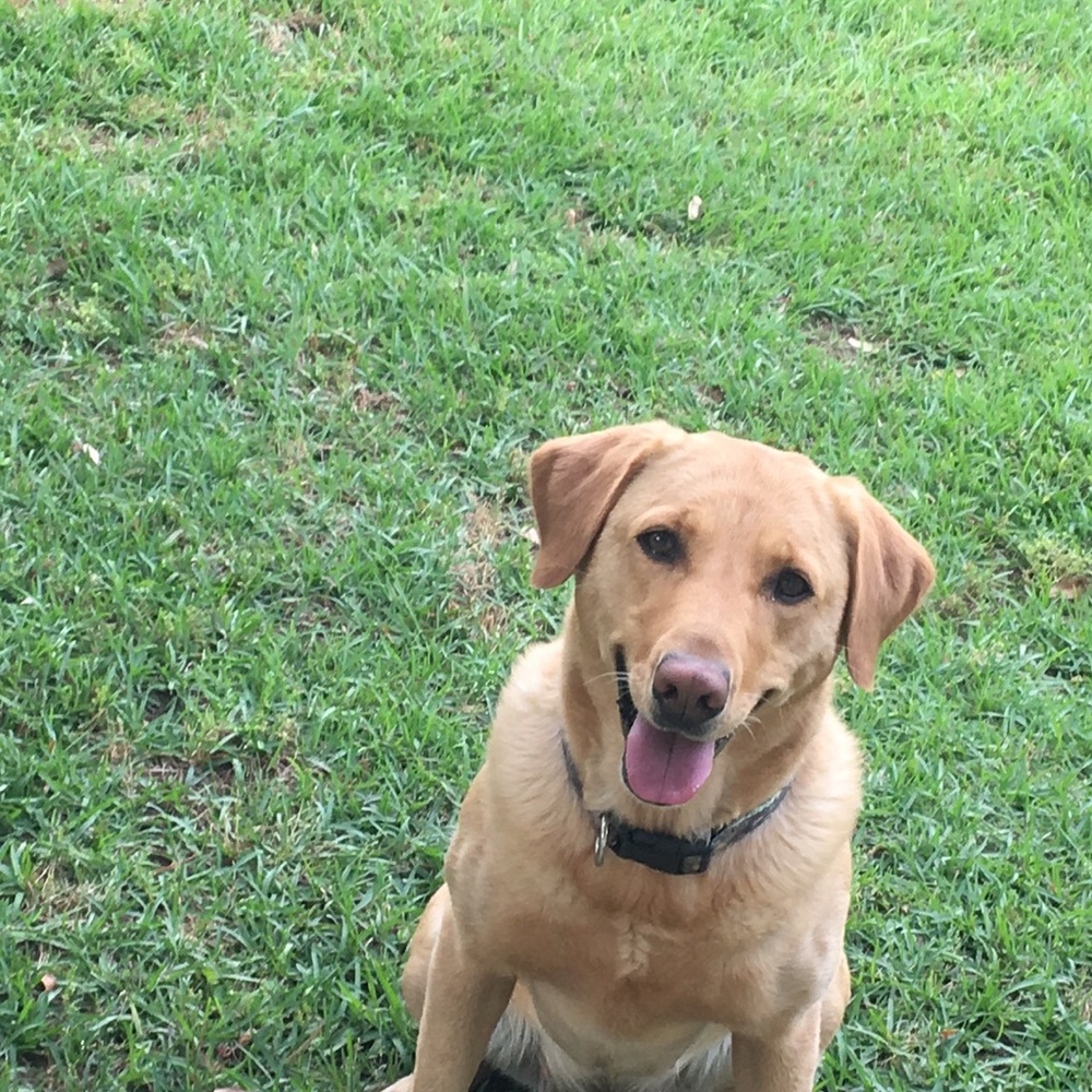 Meet your Posher, Maelee